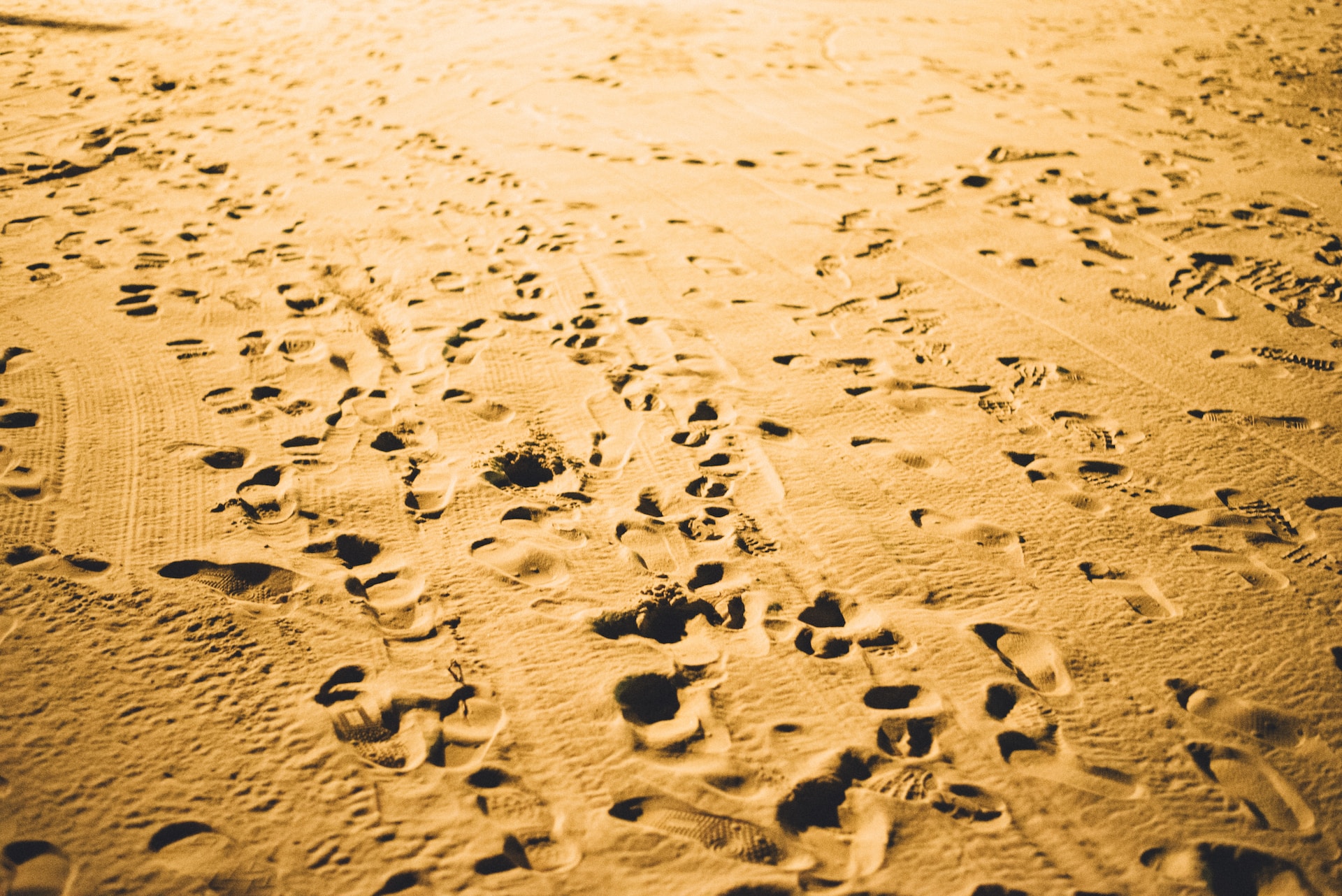 Migration, apathy and political opportunism