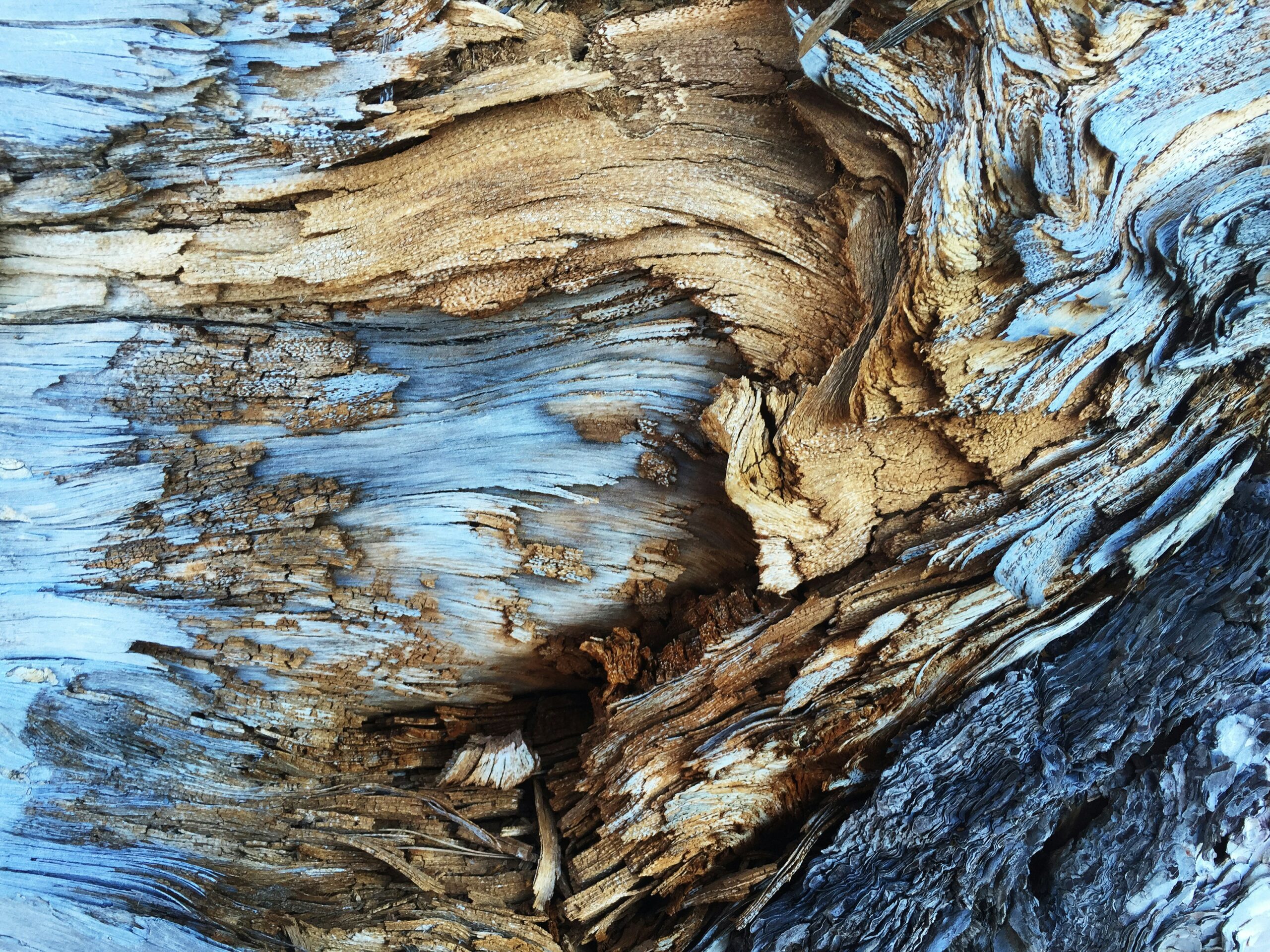 ‘Privatising profits but socialising losses’. Three tales of Nordic ecological negligence
