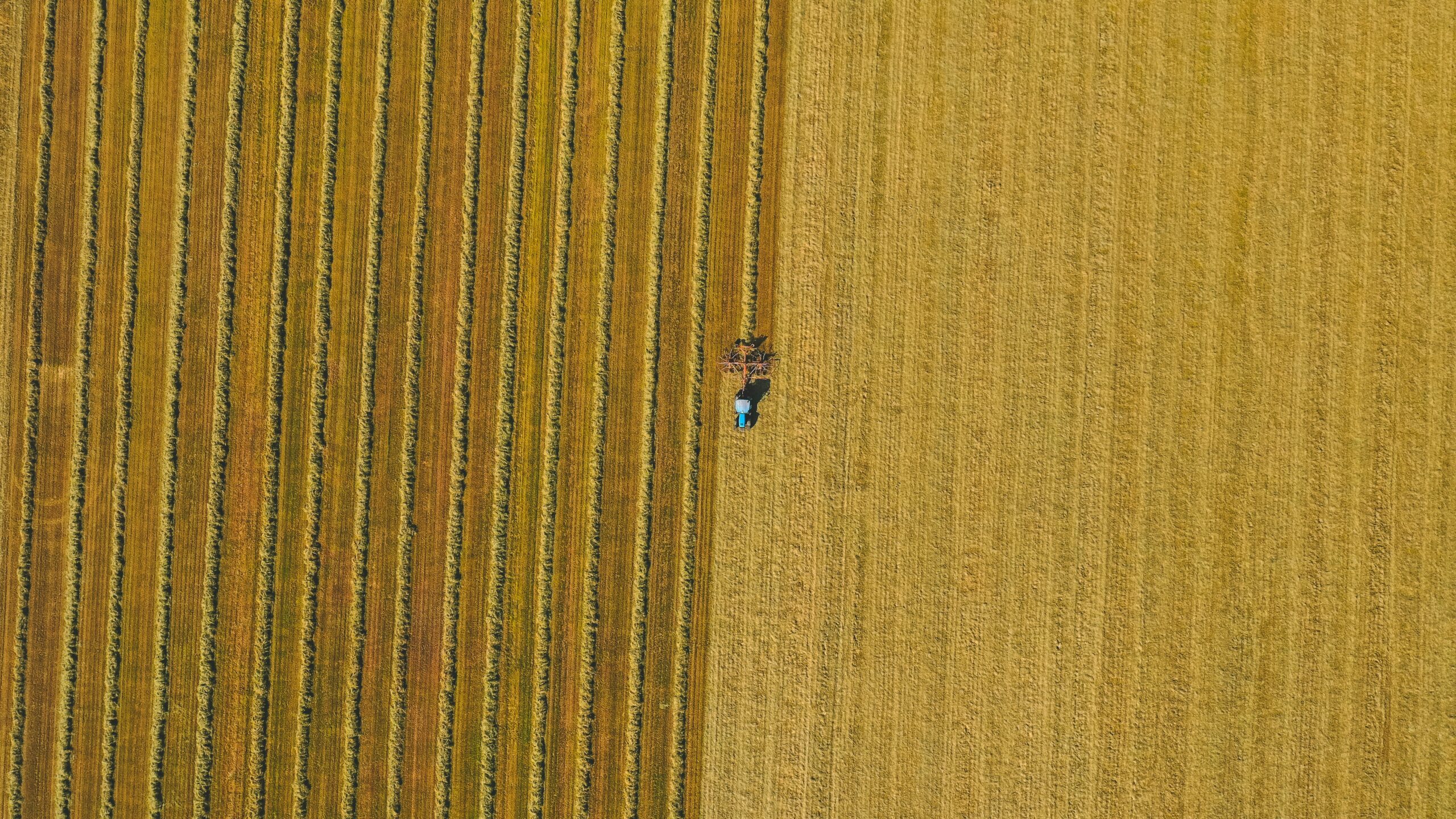 Agro-industrial oligarchy and sustainable agriculture: the European farmer protests