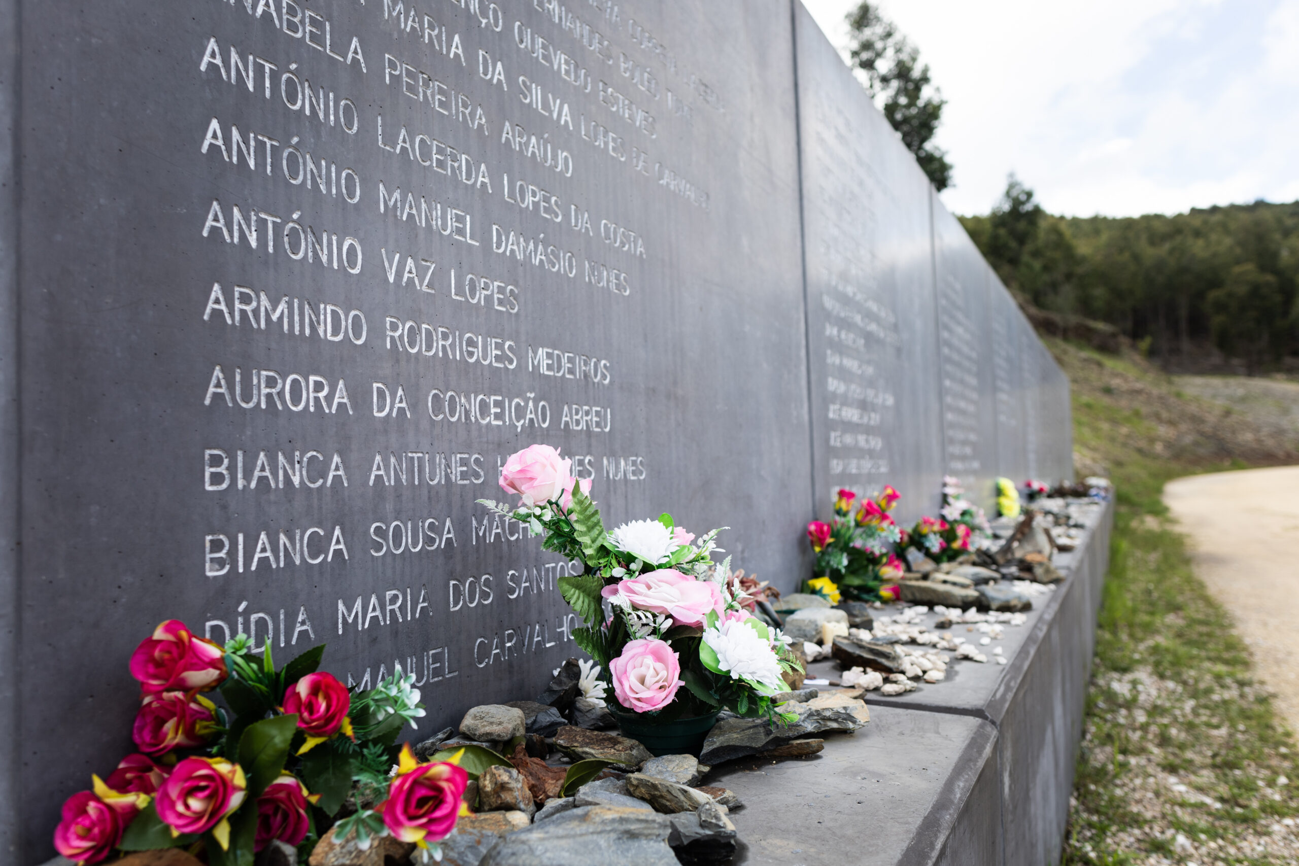 The 116 deaths that woke up a country