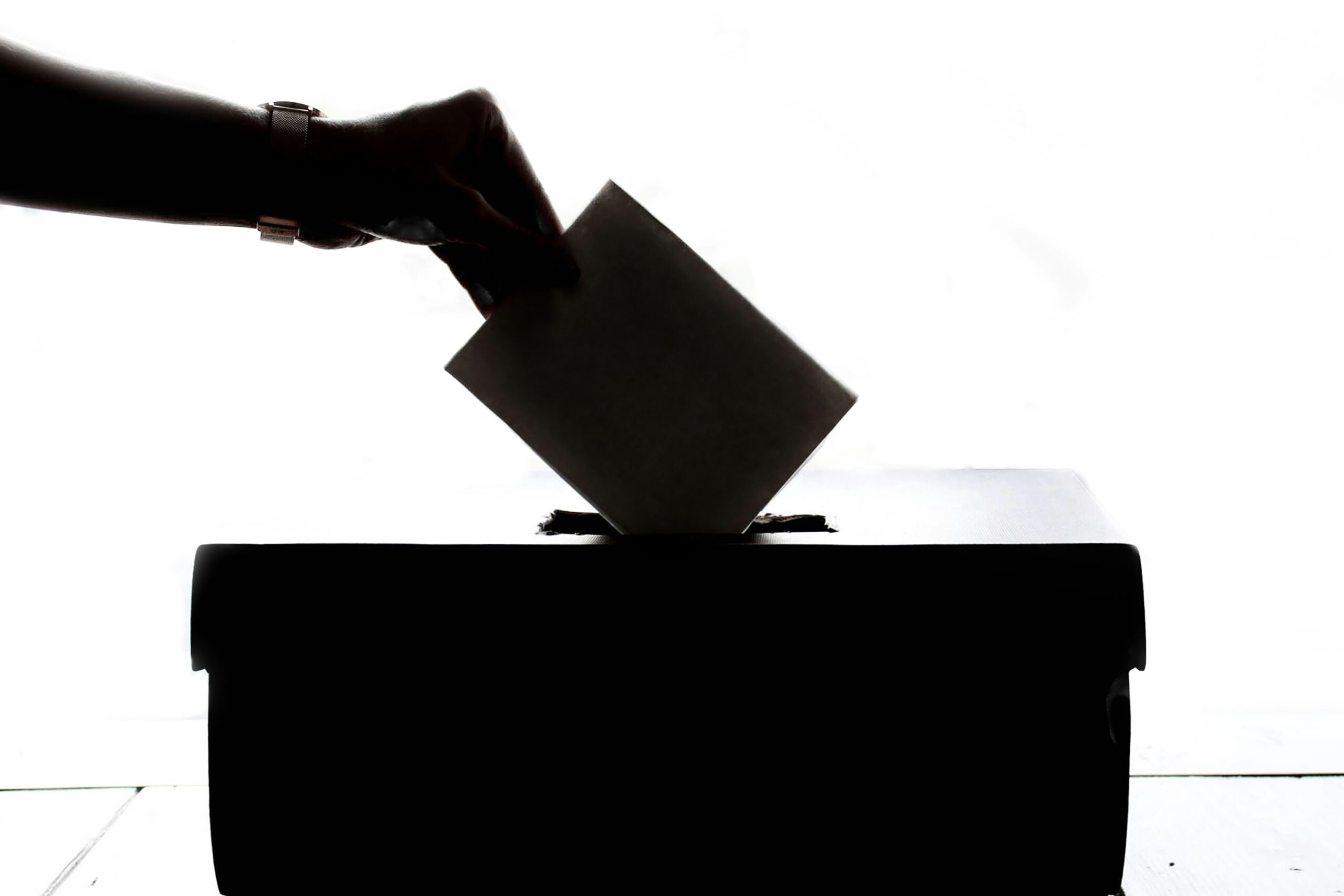 How and who to vote for in the European elections? An app to help you